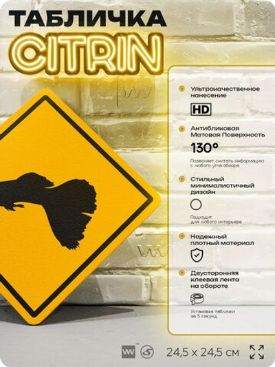 Табличка декоративная "Рыбка гуппи" на дверь и стену, информационная и предупреждающая, декоративный знак, 24,5х24,5 см, пластиковая, Айдентика Технолоджи