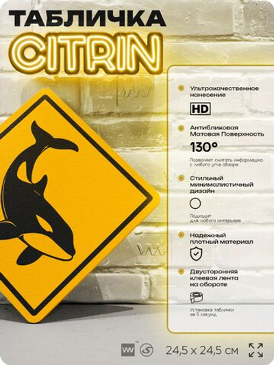 Табличка прикольная "Осторожно, киты №1" на дверь и стену, информационная и предупреждающая, декоративный знак, 24,5х24,5 см, пластиковая, Айдентика Технолоджи