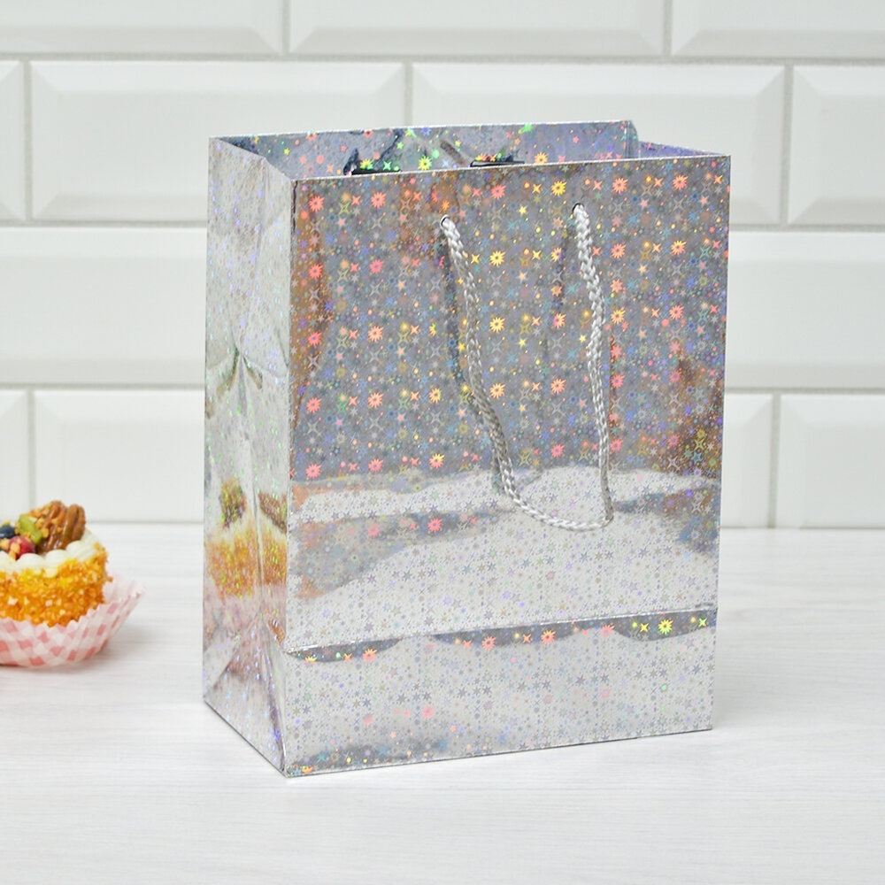 Пакет бумажный 18*23+10см с ручками Голография микс MG213-214