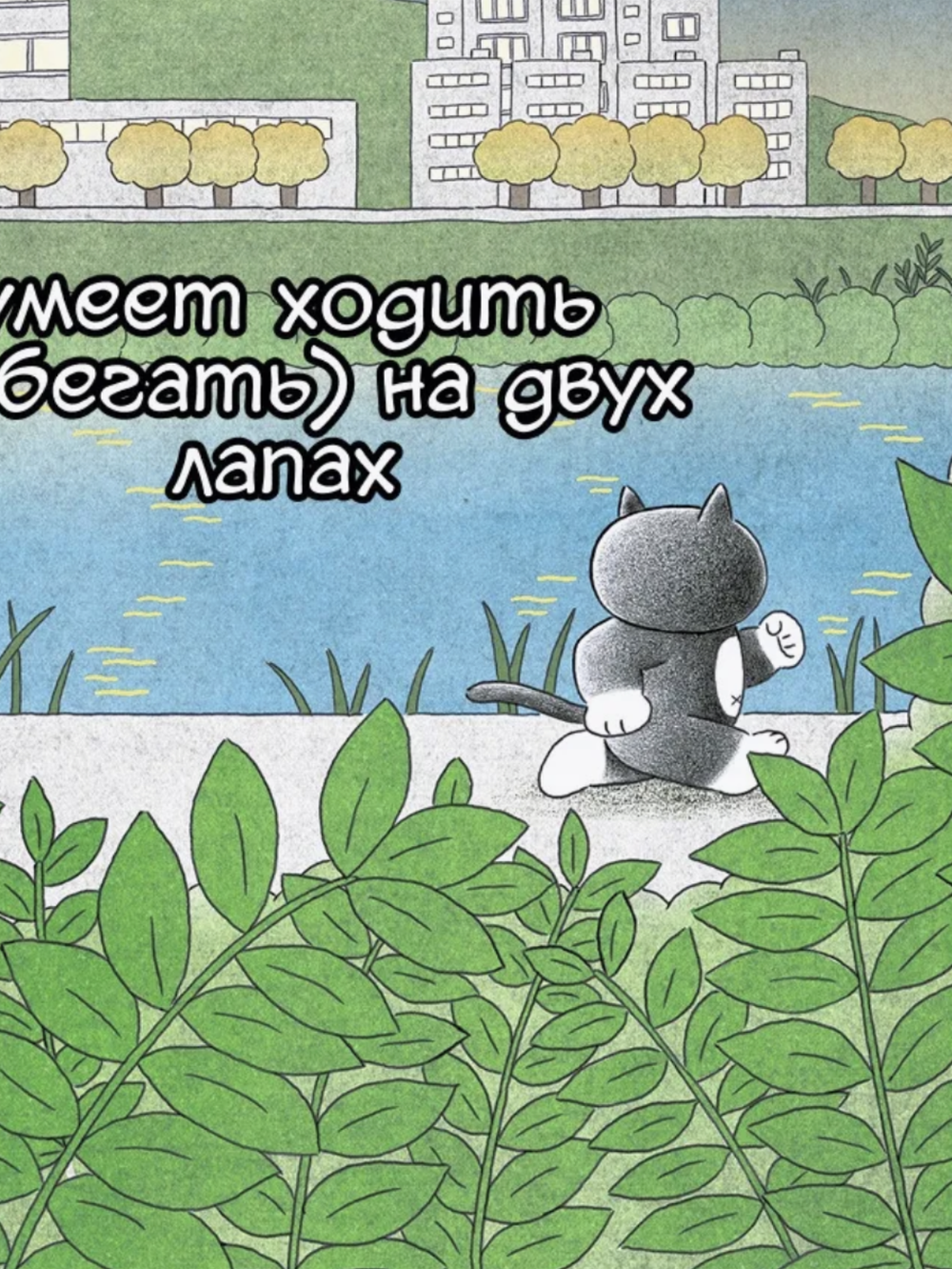 Книга Пушистый шеф