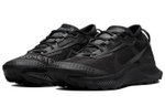 Кроссовки Nike Pegasus Trail 3 Gtx (Женская размерная сетка)