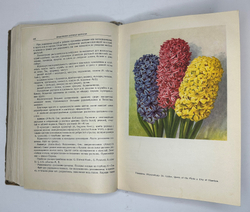 Г. Киселёв. Цветоводство., изд. 1949 г. Подарочное издание с цветными иллюстрациями.