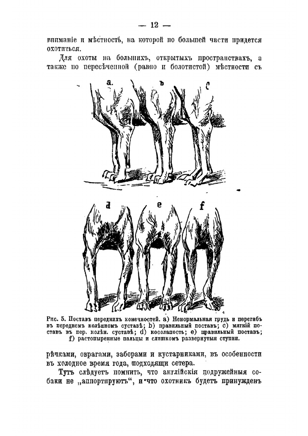 Сторожевые, охотничьи и комнатные собаки. Воспитание, кормление, содержание, дрессировка, первоначальная помощь в случаях заболевания и описание признаков различных пород | Капитанов В.И.
