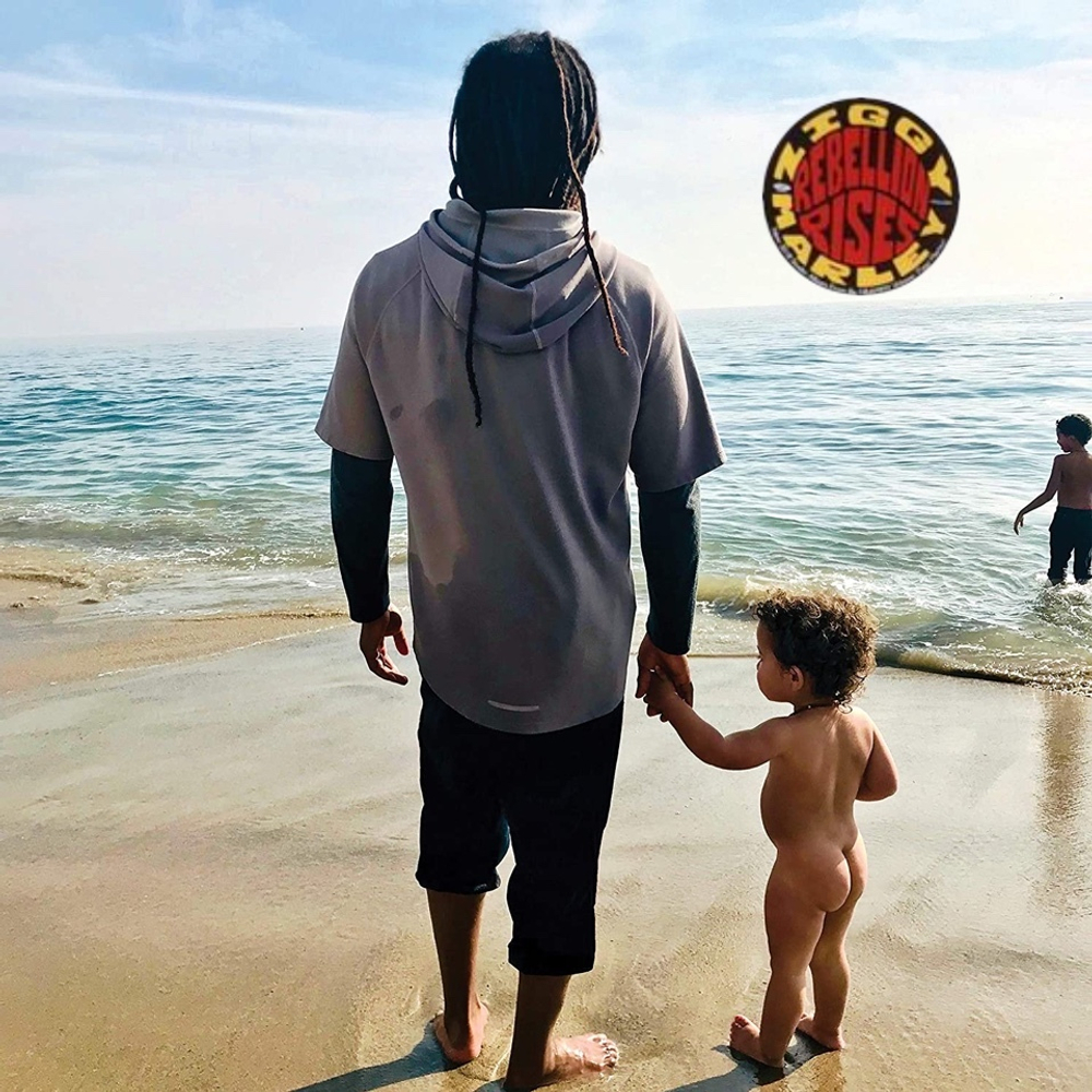 Ziggy Marley Rebellion Rises
