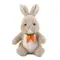 Yumşaq oyuncaq \ Мягкая игрушка \ Soft toys  Dovşan (köklü) (boz)