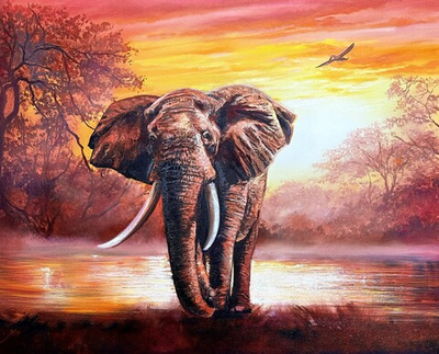 Африканский слон