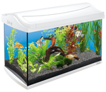 Аквариум AquaArt Discover Line белый 60л 60х31х42см