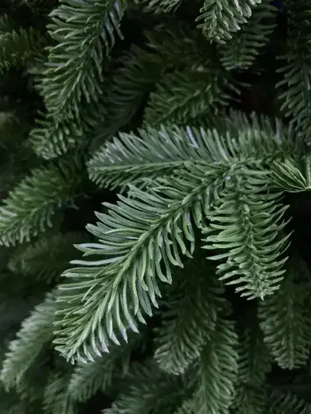 Елка Нормандия 230 см., темно зеленая, стройная, литая хвоя, Triumph Tree (72139)