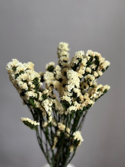 Статица стабилизированная белая