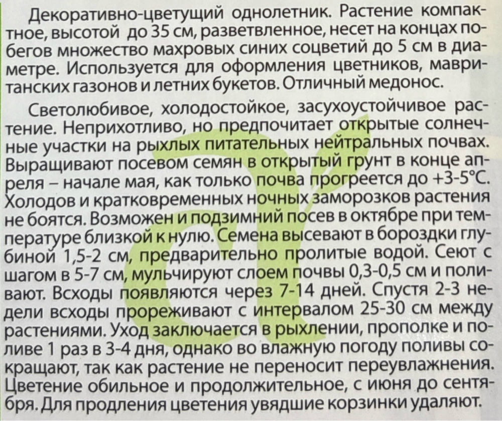 Василек Флоренция 0,2 г СМЦ-279