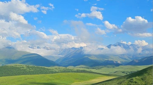 Бесплатная доставка