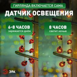 Садовая гирлянда ЭРА ERASF23-19 Божьи коровки на солнечной батарее 7м рабочая часть 5 метров 2 режима 25 LED | Садовые декоративные светильники
