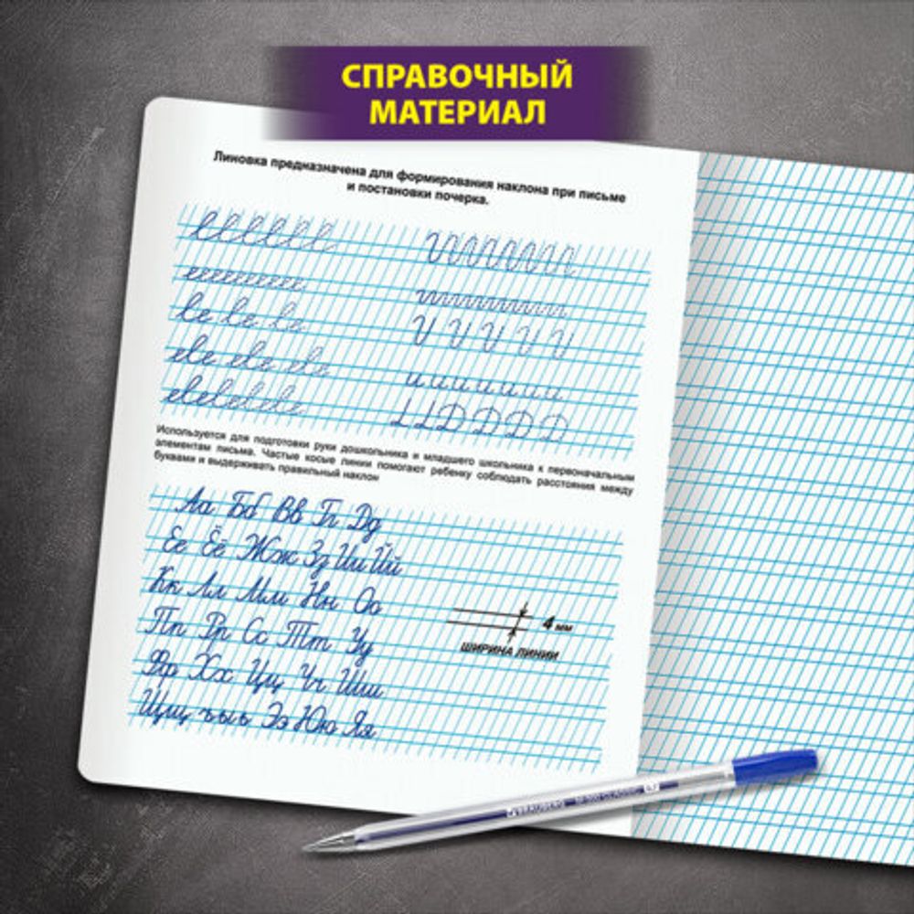 Тетрадь УЧУСЬ ПИСАТЬ № 2 12 л. частая косая линия, со справочным материалом, ЮНЛАНДИЯ, 404852, 20шт