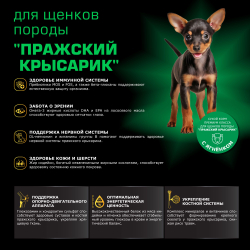 Корм сухой для щенков породы Пражский крысарик, премиум полнорационный комплекс, с ягненком, 800 гр, QUATTRO