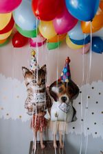 BT Шар фигура КОТ Котенок в колпаке 41"/104 см (БГ-41)