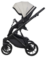 Детская коляска Riko Basic Montana Ecco 3 в 1 31 Light Silver-Black