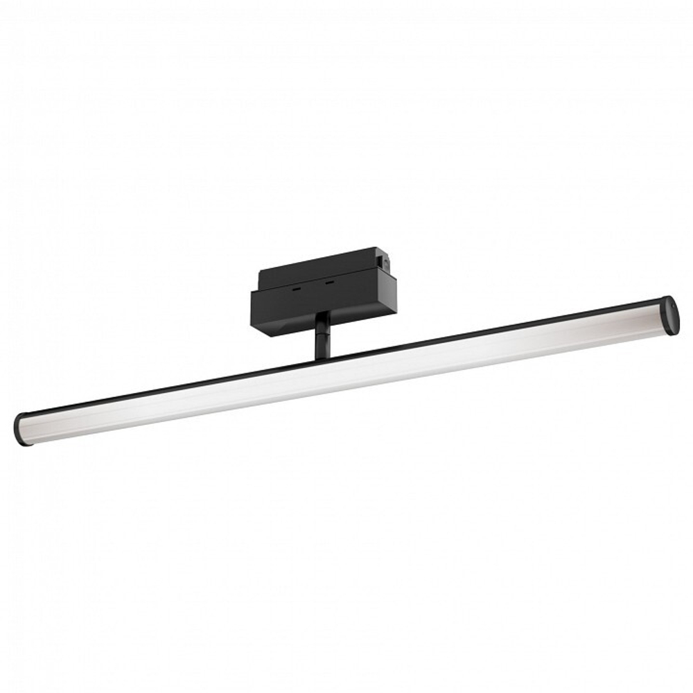 Трековый светильник Maytoni Technical TR026-2-10B3K