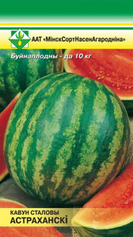 Арбуз "Астраханский" 10шт, Россия.