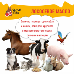 Ветеринарный рыбий жир лососевый 100 мл "Сытый пёс" - для животных, для собак, кошек, кур несушек, коров - 100% лососевое масло