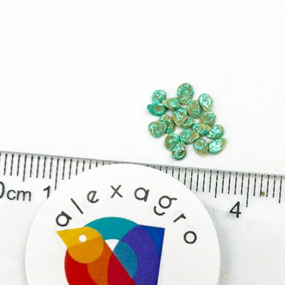 Ругантино F1 семена томата индетерминантного (Rijk Zwaan / ALEXAGRO) семена – фото 12