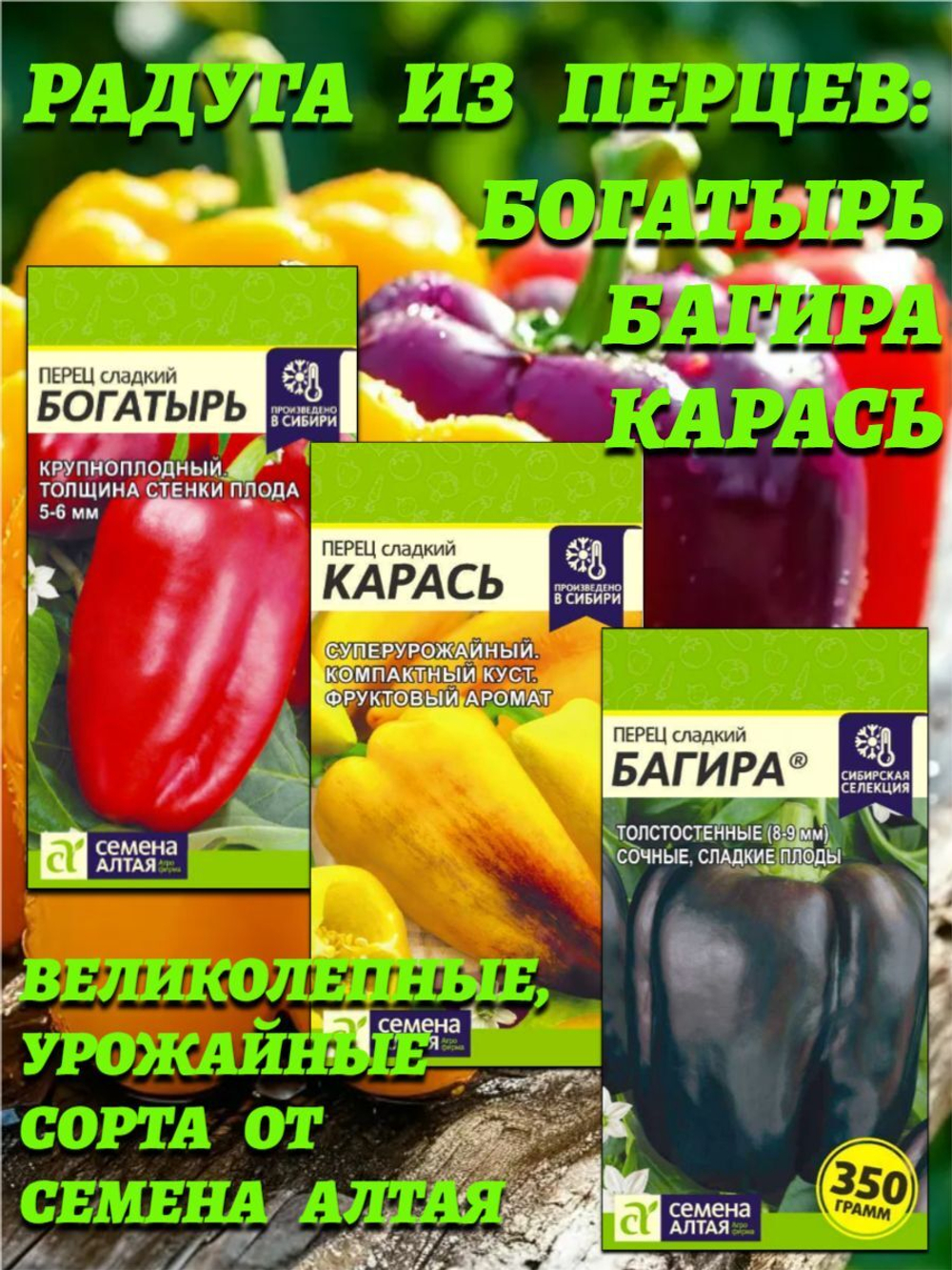 Радуга из перцев: Карась, Багира, Богатырь. Семена Алтая