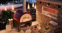 Печь для пиццы на газе и дровах Alfa Pizza Quick Pro Gas (7 пицц)