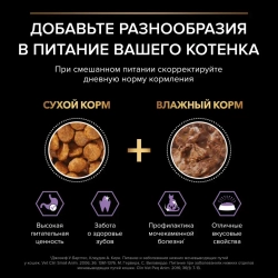 Pro plan 85 г пауч влажный  корм для котят, с говядиной в соусе