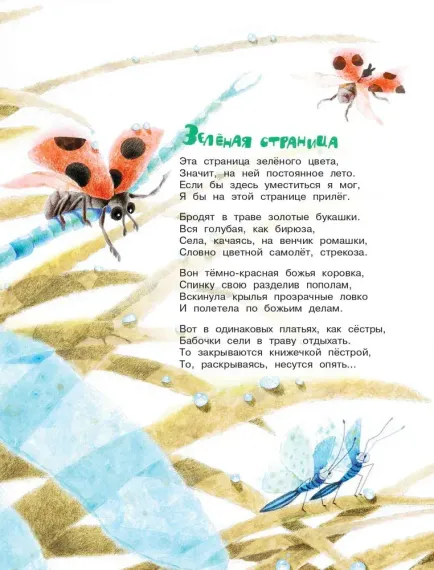 Круглый год. Стихи и загадки