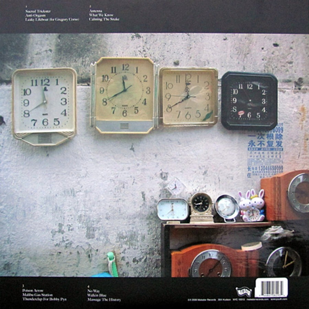 Sonic Youth / The Eternal (2LP)