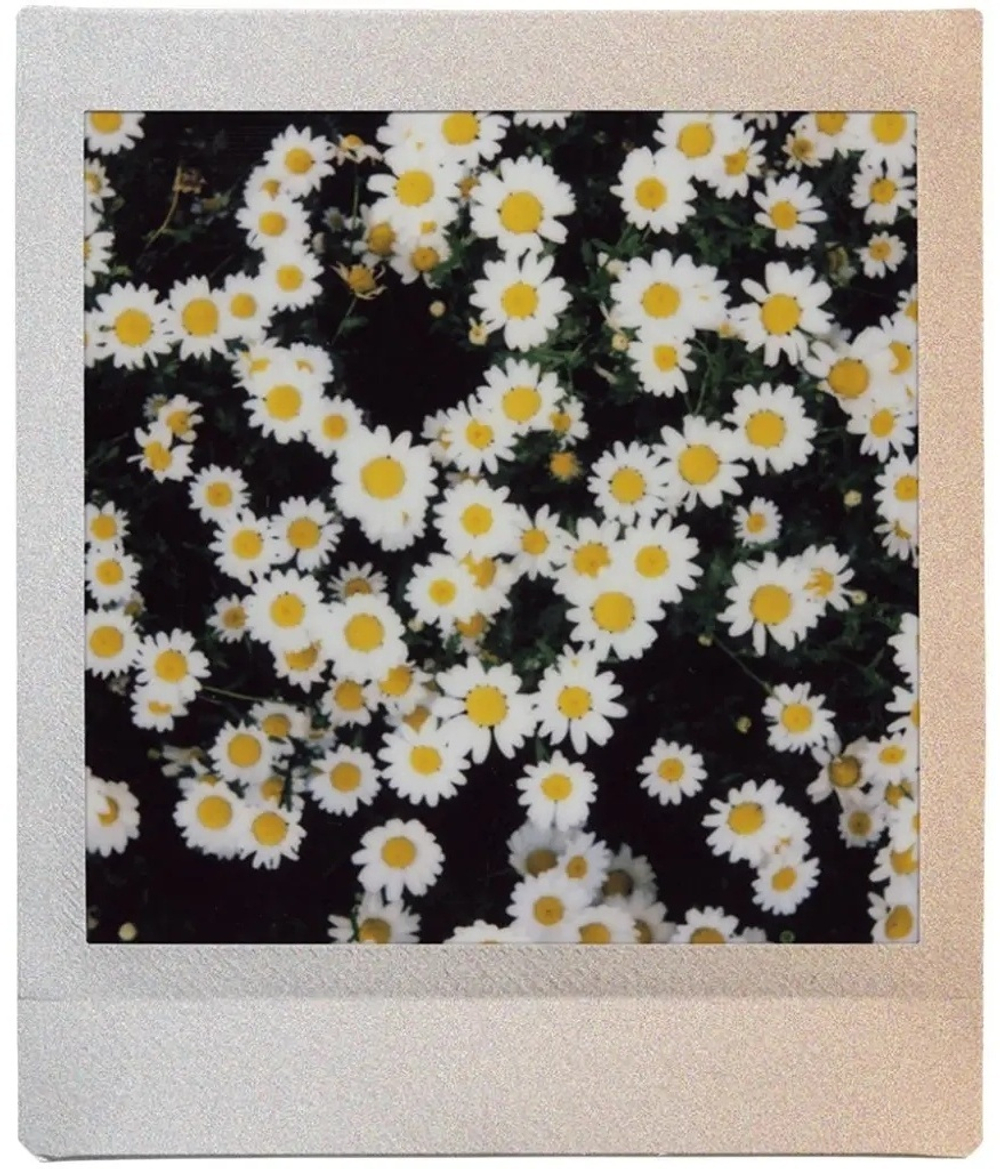 Фотопленка Fujifilm INSTAX SQUARE SUNSET 10 шт
