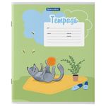 Тетрадь 12 л. BRAUBERG, линия, обложка картон, "КОТ", 106472, 5шт