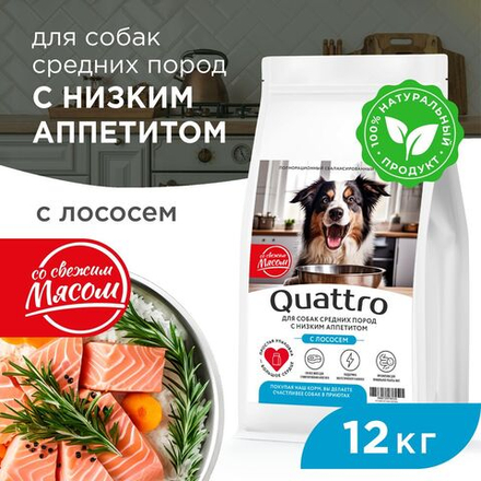 Корм сухой для взрослых собак средних пород, премиум полнорационный комплекс, низкий аппетит, с лососем, 12 кг, QUATTRO