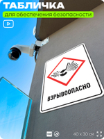 Табличка для обеспечения безопасности "Взрывоопасно", для производства, предприятия, организаций, 40х30 см, Silver Plane x Айдентика Технолоджи