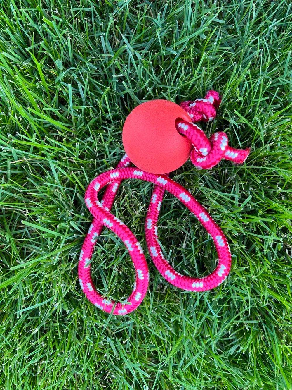 Игрушка мяч для собаки жесткий