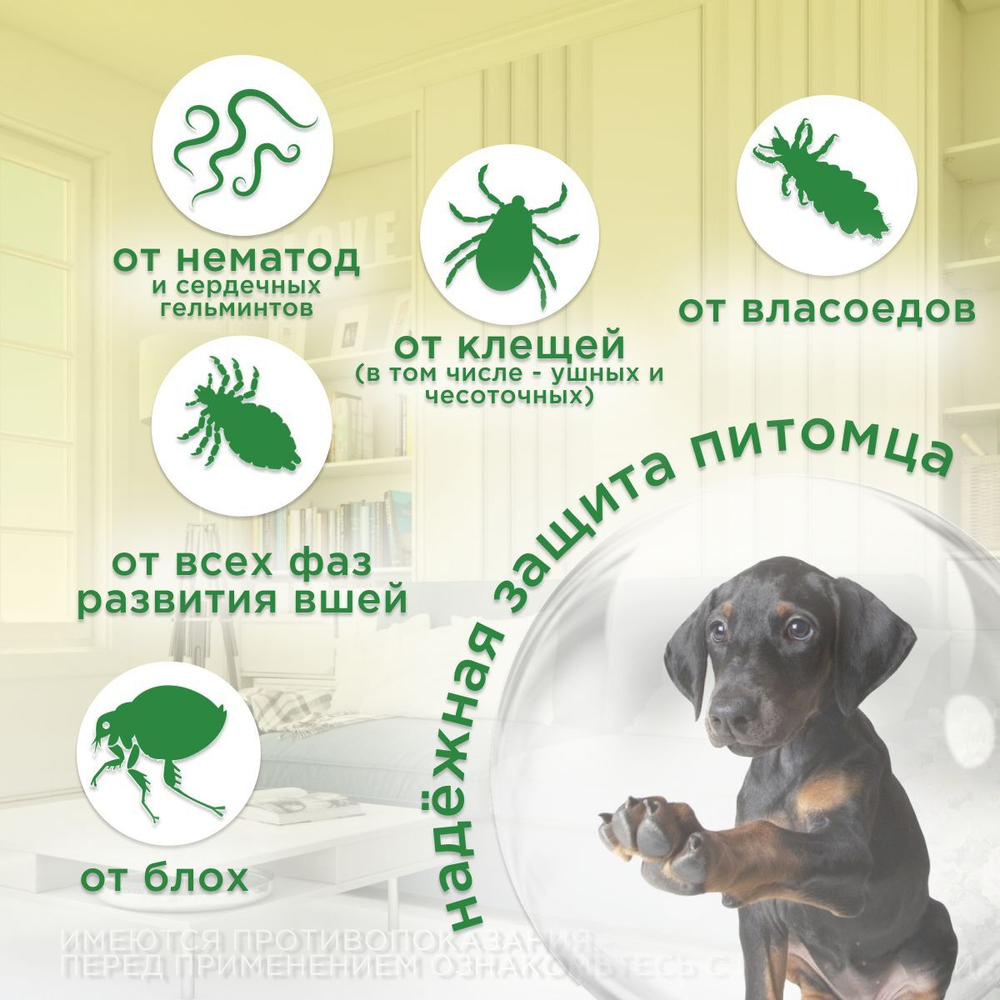 Капли от блох, клещей и гельминтов лечебные "KRKA"/ Для собак массой от 5,1 до 10кг / "Селафорт 60мг/0,5мл Селамектин