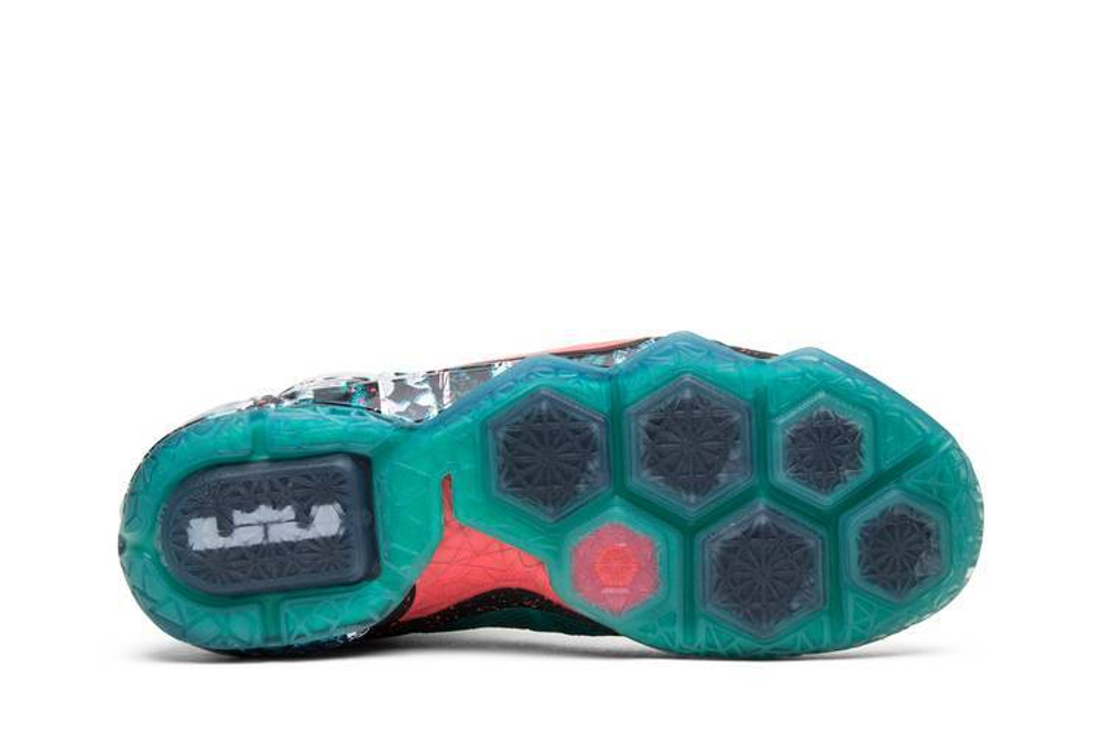 Lebron 12 akron birch store