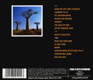 Pink Floyd / Delicate Sound Of Thunder (2CD)
