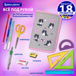 Пенал BRAUBERG 1 отделение полиэстер 21х14 см "Cat patches" (2 штуки в упаковке)