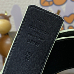 Louis Vuitton Belt