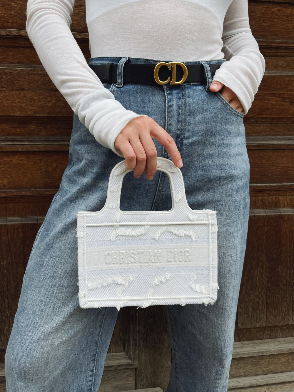 Dior Book Tote Mini