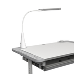 Комплект растущей детской мебели Fundesk Littonia парта + стул + выдвижной ящик + подставка + лампа