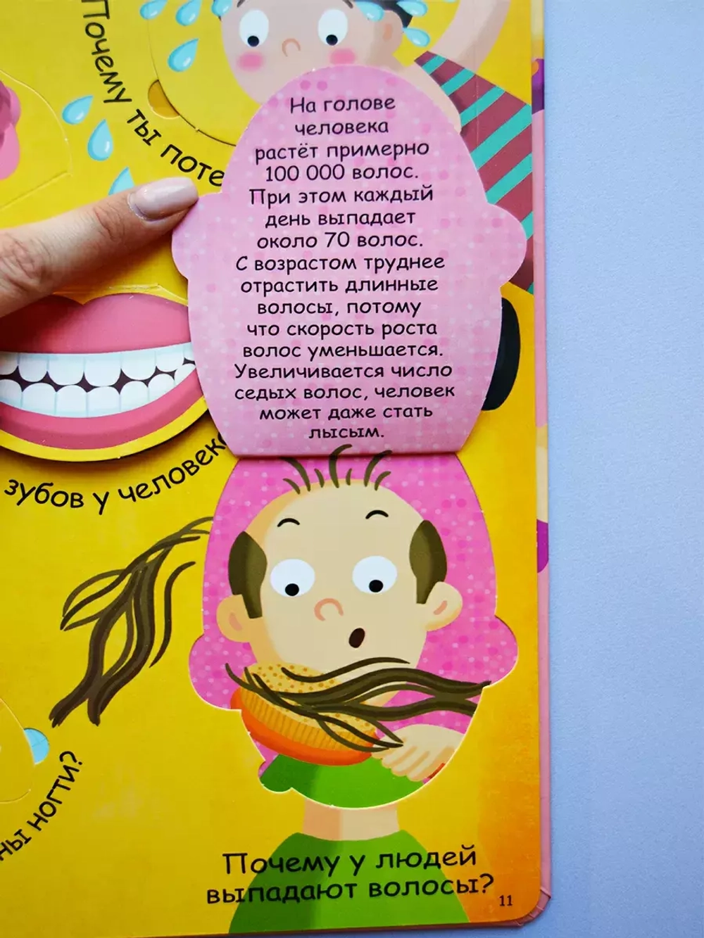 Волшебные окошки. Моё тело