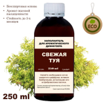 ТУЯ - Наполнитель для ароматического диффузора