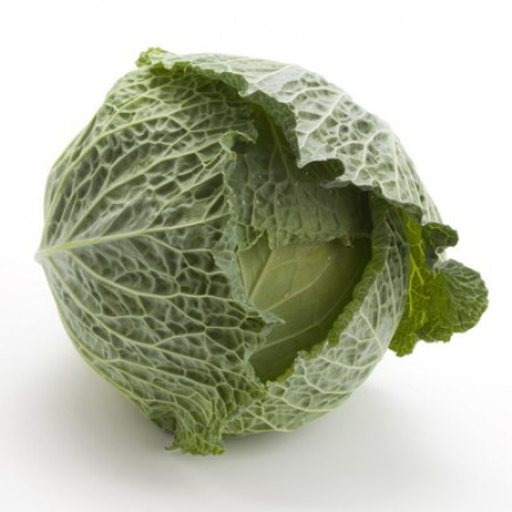 Капуста савойская Морама F1