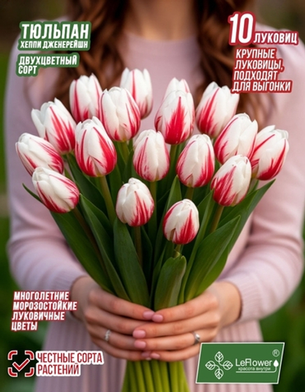 Тюльпан Луковица, Хаппи Дженерейшн, 10шт