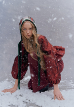 Топ Persian red