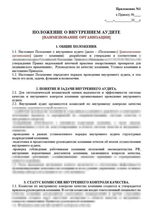 ПОЛОЖЕНИЕ О ВНУТРЕННЕМ АУДИТЕ в аптеке_1