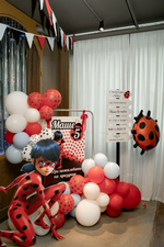 Lady Bug Party