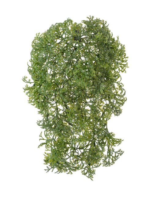 Ватер-грасс (Рясковый мох) куст зелёный (пластик) д-15/22 см, ш-10/17 см 24/240 20.071617-GR