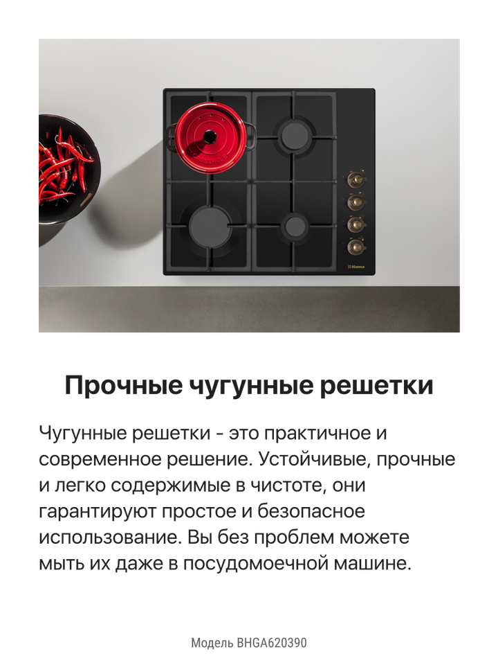 Газовая панель Hansa BHGA620390